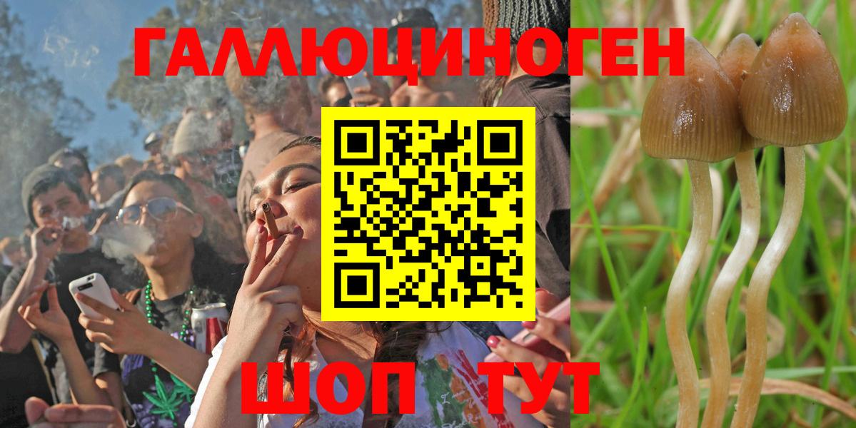 Псилоцибиновые грибы GOLDEN TEACHER Калач-на-Дону