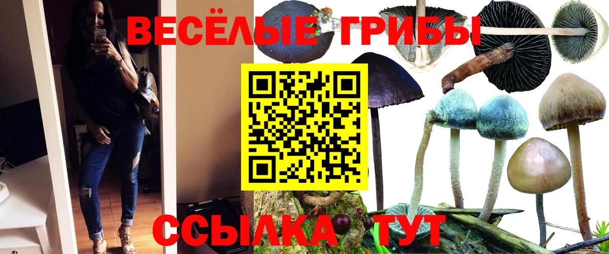 закладки  Псилоцибиновые грибы прущие грибы  Вход с VPN  Калач-на-Дону 